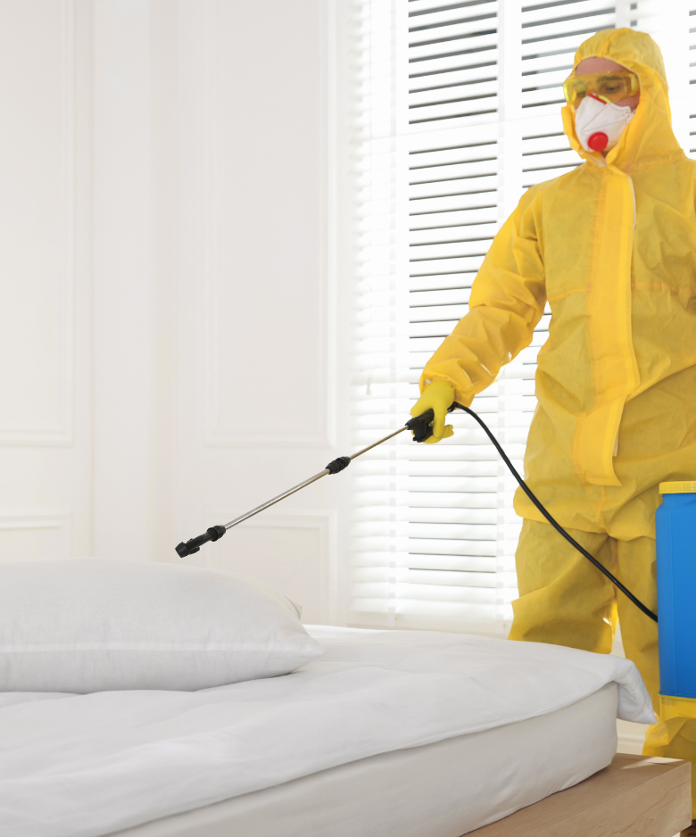 Professional Pest Control Team in Glandore